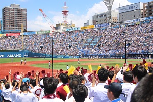 東京みんなで応援チケット の最下位席種はどこ 野球 ソフトボール 編 たま日記